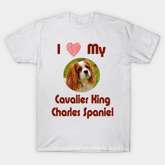 I Love My Cavalier King Charles Spaniel Cavalier King Charles